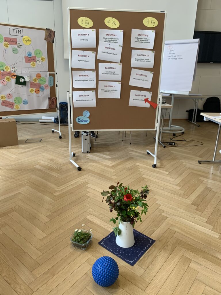 Curriculum